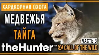 theHunter Call of the Wild #9 🐻 - Медвежья Тайга (часть 3) - Максимальная Симуляция Охоты
