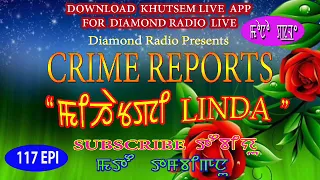 Diamond Radio Crime Reports 117-Linda Polenceki