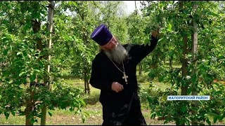 «Только трудись и Богу молись». Священник из Украины нашёл счастье в Беларуси – его история