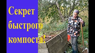 Как сделать компост легко и быстро