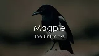 Magpie - The Unthanks - LYRICS