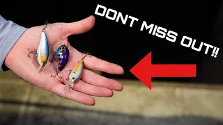 Our TOP 5 FAVORITE SMALL Crankbaits That ABSOLUTELY Catch Fish!! You Have to Have These!!