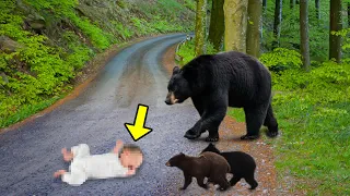 The Man Threw His Son On The Road, Then a Bear Did Something Very Amazing!