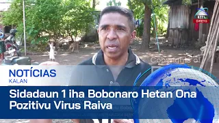 Sidadaun Ida Iha Munisípiu Bobonaro Hetan Ona Pozitivu Virus Rabies ka Raiva