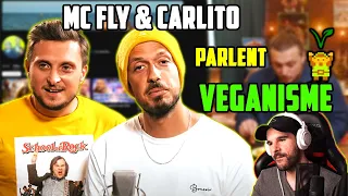 McFly & Carlito CASSENT des CLICHÉS sur le VÉGANISME ? Un VÉGANE MILITANT réagit à leur Vidéo !