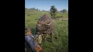 Bison hunting GONE WRONG 🦬🦬🦬