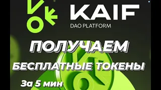 Получаем бесплатно токены KAIF