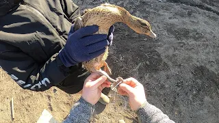 Ногавка для подсадной утки своими руками, самая безопасная и самая надёжная.