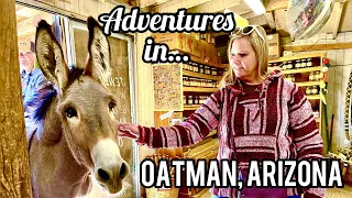 Adventures in Oatman Arizona 🌵 Wild Burros in Arizona mining town on Route 66