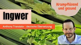 Ingwer wirkt beruhigend und krampflösend – Anthony William – deutsche Übersetzung