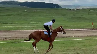 Скачки в Леваши. 2-й заезд, 4000м