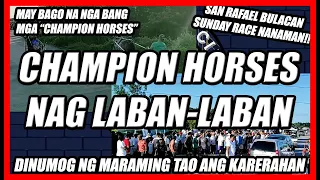 CHAMPION HORSES NAG LABAN LABAN!!