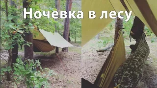 Ночевка в лесу. Гамаки.