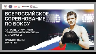 ВС по боксу на призы 2-кратного ОЧ Б.Н. Лагутина среди юношей 15-16 лет. Москва. ФИНАЛЫ!