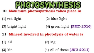 Plant Physiology MCQ : Photosynthesis :Biology MCQs