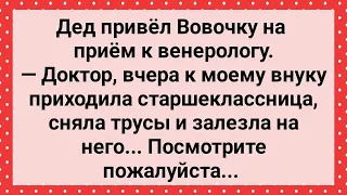 Старшеклассница Залезла на Вовочку! Сборник Свежих Анекдотов! Юмор!!!