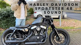 Harley Davidson Sportster 1200 48 Fourty Eight SOUND!