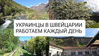 Одесситы 🇺🇦 в Швейцарии 🇨🇭 Фестиваль Веспы, чем кормят на работе?