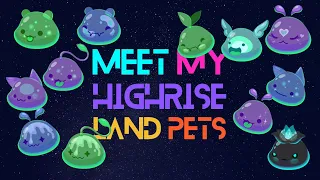 Meet My HighRise Land Pets