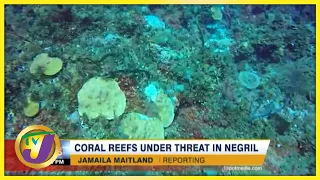 Coral Reefs Under Threat in Negril | TVJ News - Nov 12 2021