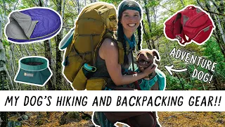 What I Bring to HIKE and BACKPACK with My Dog! | Miranda in the Wild