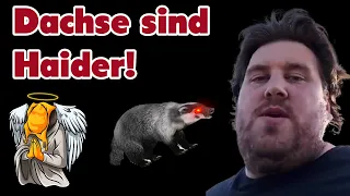 Dachse sind nun auch Haider + Drachenlord hat zu wenig Zeit um guten Content zu produzieren