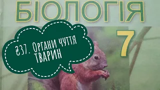 §37. Органи чуття тварин, біологія, 7 клас