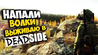 DeadSide - Первый взгляд на ВОЛКОВ в лесу! Люди? Они стреляют друг в друга в 2023