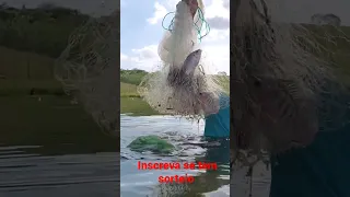 pescando tilapia de tarrafa na barragem do insanas tarrafa malha 8 so tilapia tilapia boa + tilapia