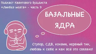 Базальные ядра | Базальные ганглии. Ступор, СДВ, кокаин, тик, любовь к себе и как всё это связано!