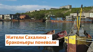 Жители Сахалина стали браконьерами поневоле | Сибирь.Реалии