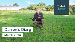 Spring Colour Emerges | March 2024 | Darren's Diary