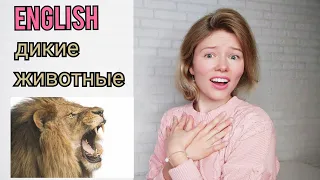 ДИКИЕ ЖИВОТНЫЕ на английском языке| называю и показываю| 22 слова + тест| wild animals