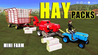 SMALL TRACTORS vs HAY PACKS | Hay Bale Making and Automatic Loading! Farming Simulator 19