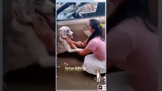 Gulki playing with dog🐕|puppy cutie |Maddam sir||Haseena malik ||Short ||