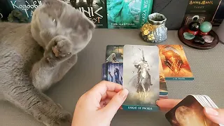 6 июня 🌷🍀Карта дня таро для всех знаков зодиака/Tarot day card for all zodiac signs on June_6st.