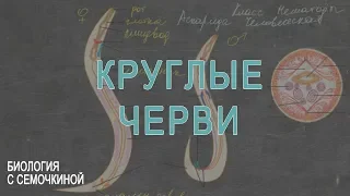 Круглые черви