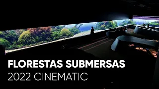 The Best Aquascape in the World: Florestas Submersas - The Ultimate Nature Aquarium by Takashi Amano