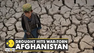 Post-war, natural calamities are battering Afghanistan | 25 out of 34 provinces hit hard by drought