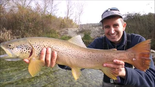 Trophy Trout in October, November and December