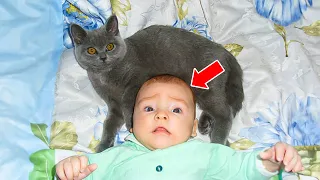 CAT Refuses To Let Baby Sleep Alone - When The Parents Find Out Why, They Call The Police!