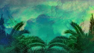 Palm Sunday Palm Under Beautiful Blue Painted Sky Easter Season 4K Christian Worship Background Loop