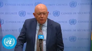 Russia on Palestine - Security Council Media Stakeout | United Nations