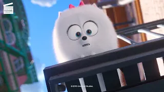 The Secret Life of Pets 2 (3/10) | Gidget Dreaming of Max | Cartoon For Kids