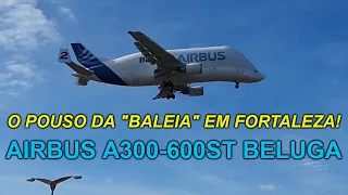 Pouso do Airbus A300-600ST "Beluga" em Fortaleza (SBFZ/FOR)