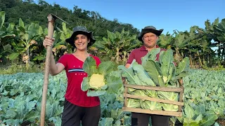 Como damos conta de tudo no sítio!