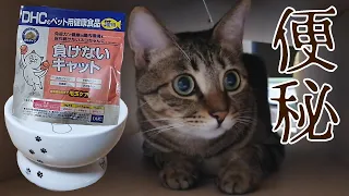 便秘気味のキジトラ猫にAmazonでサプリを買いました。