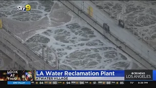 Look At This: LA Water Reclamation Plant