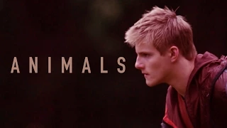 The Hunger Games || Animals