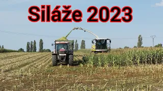 Siláže 2023/JCB/John Deere/3 Case/Claas/ @DANKISS @MAJKIS_ @kaktusagrovideos